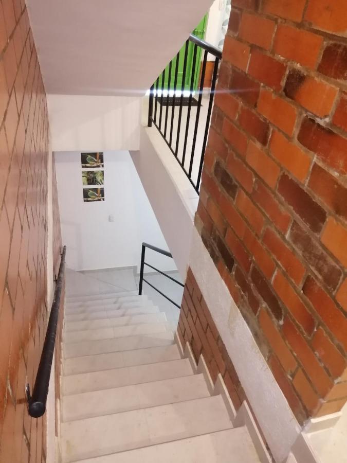 Coffee Flores Gabriel Apartment Salento Exterior photo